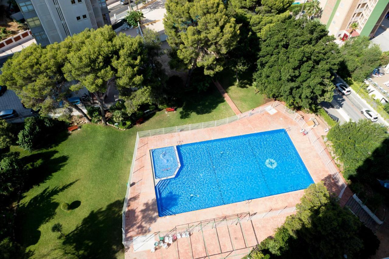 Moonkey - Apto Paris Con Piscina Y Parking Lejlighed Benidorm Eksteriør billede